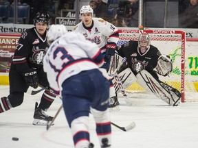The Regina Pats' Sergei Alkhimov (13) fires a shot at Red Deer Rebels  netminder Byron Fancy (35) during a WHL game at the Brandt Centre on Saturday.