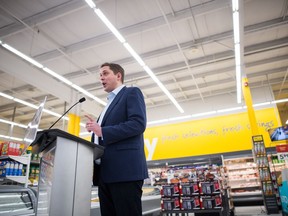 Conservative Party Leader Andrew Scheer speaks against the federal carbon tax during a stop at a Giant Tiger store on Victoria Avenue on Jan. 1, 2019.