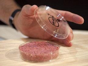 In this handout image provided by Ogilvy, a burger made from cultured beef, which has been developed by Professor Mark Post of Maastricht University in the Netherlands is shown to the media during a press conference on August 5, 2013 in London, England.