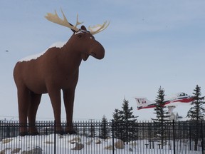 A statue known as Mac the Moose, wearing a slight coat of snow, stands looking out toward the Trans-Canada Highway on the north end of Moose Jaw.
