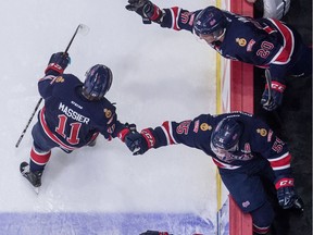 REGINA, SASK : December 1, 2018  -- The Regina Pats' Carter Massier (11) celebrates with teammates after putting a shot past Prince Albert Raiders' netminder Ian Scott (not shown) during first period action of game at the Brandt Centre. BRANDON HARDER/ Regina Leader-Post