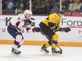 Regina Pat Sebastian Streu chases Brandon Wheat King Ben McCartney in a Western Hockey League game at Westoba Place Saturday.