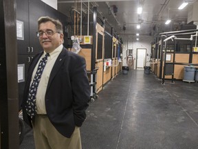 SASKATOON,SK--OCTOBER 29/2018-9999 News Vet Med- Dr. Doug Freeman, dean of the Western College of Veterinary Medicine stands for a photograph in the large animal clinic in the College of Veterinary Medicine on the University of Saskatchewan campus in Saskatoon, SK on Monday, October 29, 2018.