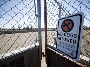 An outdoor hockey rink at Joanne Goulet Golf Course in Regina.  One of two outdoor boarded rinks that the City of Regina is considering adding to its list of seasonal outdoor rink off-leash dog areas.