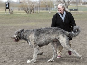 Lynda Schofield, along with Shiva her 20-month-old male Irish Wolfhound, at the Cathy Lauritsen Off-Leash Dog Park in Regina.