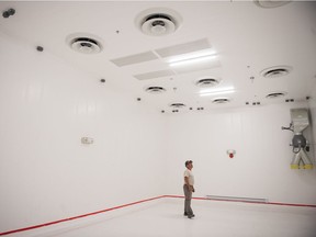 Mike Spang, supervisor for Abtec construction, stands beneath the extensive ventilation system installed in a growing room in the One Leaf marijuana growing facility on Winnipeg Street.