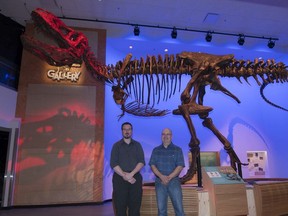 Ryan McKellar, left, curator of invertebrate palaeontology at the Royal Saskatchewan Museum (RSM) and Wes Long, RSM palaeontology curatorial assistant, stand in front of Scotty, the largest Tyrannosaurus rex ever discovered. Scotty's official unveiling will take place Friday at the RSM.