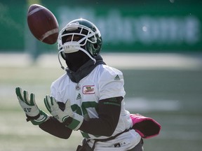 K.D. Cannon, shown here catching a punt during the Riders' rookie camp, was named Murray's Monster after a nice catch and run during training camp.