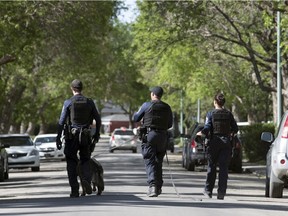 Members of the Regina Police Service search for a suspect after a vehicle collision at McDonald Street and 18th Avenue East in Regina.