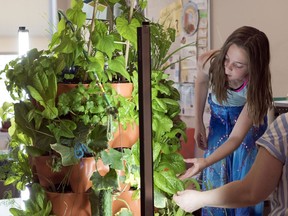 Brooke Laurier from Carlie Brentnell's Grade 5/6 classroom at Ethel Milliken School takes part in the 2018-2019 Urban Agriculture School Outreach Project in Regina.