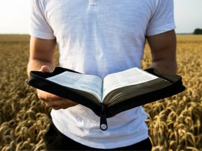 God's Greenery focuses on real stories, narratives related to scripture and commentary, research and regulations, church and lifestyle, etc.