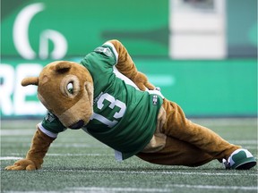 Roughriders fans will get a second look at the new-look Gainer the Gopher on Saturday.