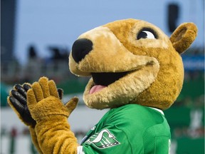 The new-look Gainer the Gopher was reintroduced on Saturday, minus the green eyeballs.