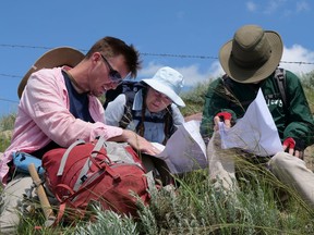 (L-R) Paleontologists Jordan Mallon and Emily Bamforth, along with student student Jack Milligan, work in the field in Grasslands National Park. They are using century-old field notes to find fossil quarries. (Photos courtesy of Pierre Poirier from the Canadian Museum of Nature)