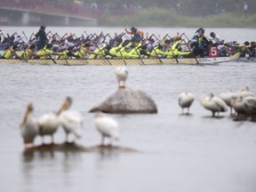 Teams compete in the Regina Dragon Boat Festival/Canadian National Dragon Boat Championship on Wascana Lake on July 20, 2019.