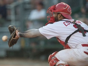 Willie Estrada, shown catching for the Regina Red Sox earlier this season, joined the Philadelphia Phillies organization after his Western Canadian Baseball League team's first-round playoff series victory over the Moose Jaw Miller Express.