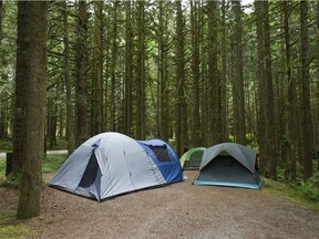 Several provincial parks in southern Saskatchewan will be getting facility and infrastructure upgrades in time for the 2020 camping season.