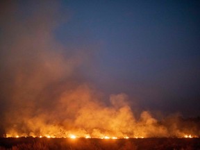 A fire burns out of control after spreading onto a farm along a highway in Nova Santa Helena municipality in northern Mato Grosso State, south in the Amazon basin in Brazil, on August 23, 2019. - Official figures show 78,383 forest fires have been recorded in Brazil this year, the highest number of any year since 2013.