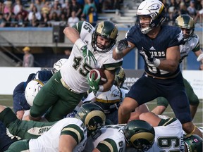 The University of Regina Rams' Sam Varao scores one of his three one-yard touchdowns Saturday against the host UBC Thunderbirds.