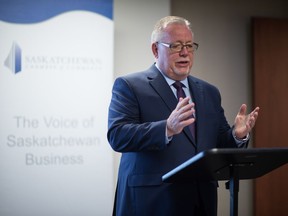 Steve McLellan, CEO of the Saskatchewan Chamber of Commerce, speaks at the chamber's office on Cornwall Street.