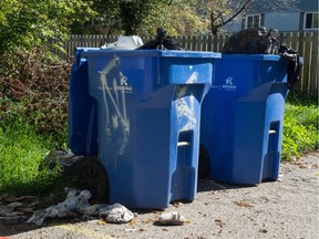 Trash bags poke out from curbside recycling bins in a Regina alleyway.