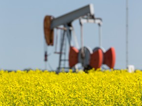 An oil pumpjack.