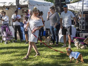 Countless pet-owners can be seen walking their four-legged friends. (Postmedia file photo)