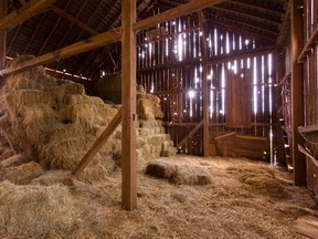 A large barn was constructed on top of the hidden grow, complete with a full hydroponic setup and ventilated by strong fans