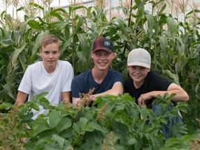 L-R: Jon Rutkowski, Cam and Will Blakley started the Southwest Growing Cooperative in Consul in spring 2019. They sell their honey, pastured eggs and organic vegetables. (Photo courtesy Lonesome Road Photography)