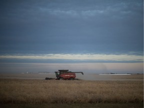 A farmer works on bringing in the harvest along Highway 6 south of Regina.