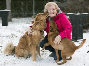 Connie Buchan, chairperson of the Off Leash Dog Park User Group (OLDPUG) with her two dogs at her home in Regina.   Tucker, left, is a 8 year old husky/chow/sheltie mix and Nugget is an one-and-a-half-year-old golden retriever/shih tzu/Staffordshire terrier/German shepherd mix.