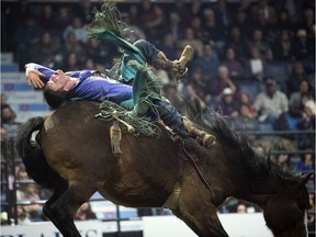 Jacob Stemo, of Bashaw, Alberta, rides Sacface in the Bareback during the Maple Leaf Finals Rodeo at the Canadian Western Agribition in Regina.