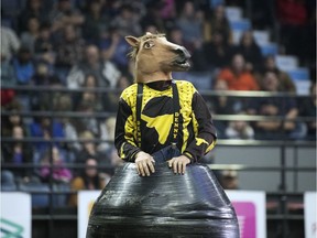 Professional rodeo clown Dennis Halstead during Bull Riding at the Maple Leaf Finals Rodeo at the Canadian Western Agribition in Regina on Wednesday night.