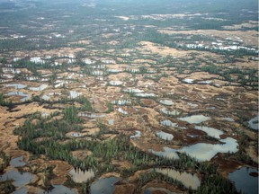 Muskeg and boreal forest in Wood Buffalo National Park.