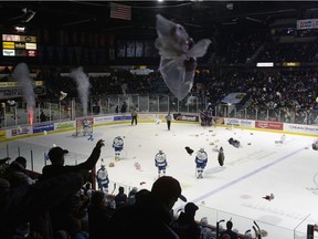 The Regina Pats' Teddy Bear Toss Night is slated for Saturday, when the Red Deer Rebels visit the Brandt Centre.
