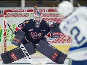 The play of goaltender Max Paddock has been a key to the Regina Pats' improvement of late.