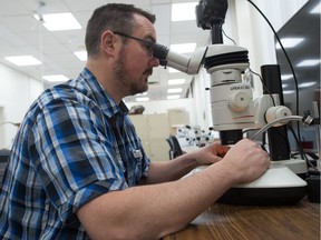 REGINA, SASK : December 6, 2019  -- Ryan McKellar examines amber under a microscope at the Royal Saskatchewan Museum building on Albert Street in Regina, Saskatchewan on December 6, 2019. BRANDON HARDER/ Regina Leader-Post