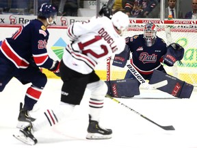 Chris Douglas of the Red Deer Rebels takes a shot against Regina Pats goaltender Max Paddock during a Dec. 7, 2019 game at the Brandt Centre. Keith Hershmiller Photography.