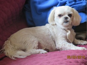 Rene Claude's shih tzu Dylan was euthanized after he was attacked by another dog at a park in December.