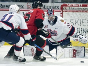 Regina Pats goalie Max Paddock keeps his eye on the puck as the Prince George Cougars' Davin Griffen, a native of Regina, comes charging in during WHL action at the Brandt Centre on Wednesday.