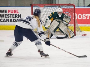 The Mount Royal Cougars' Tatum Amy prepares to take a shot against University of Regina Cougars goaltender Jane Kish in Canada West women's hockey Saturday at the Co-operators Centre. Kish registered her sixth shutout of the season as Regina won 2-0, extending its winning streak to six games.