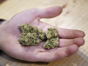 A person holds five grams of marijuana in Regina.