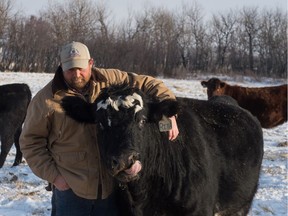 Livestock producer George Flotre puts his arm around a cow named Rita on his farm near Bulyea, Saskatchewan on Jan. 23, 2020. Rita got her name because she was born the day singer Rita MacNeil died. As a calf, Rita was unable to feed from her mother, so Flotre had to feed her from a pail.