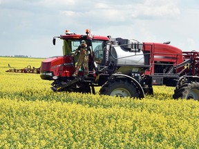 Saskatchewan’s exports to China fell by almost a third last year, as the province’s biggest canola customer stopped taking Canadian shipments.