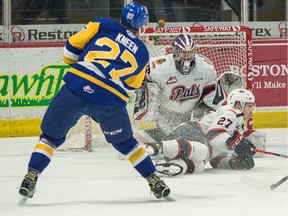 The Regina Pats' Nikita Sedov (27) grimaces while attempting to block a shot by the Saskatoon Blades' Nolan Kneen (27) during WHL action at the Brandt Centre on Saturday.