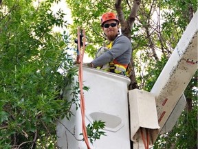 Laird Williamson works in forestry for the City of Regina. Photo supplied by Laird Williamson.