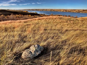 The Nature Conservancy of Canada is working to restore more than 850 hectares of natural grassland and seven kilometres of shoreline at Buffalo Pound. (Photo submitted by Nature Conservancy of Canada)