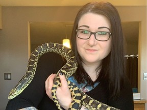 Denee Buchko holds her pet bullsnake named Sirius, at home in Regina on April 2, 2020. Buchko and Jeff Loucks are researching babies' perception of snakes at the University of Regina.