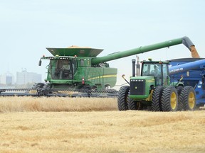 Agricultural exports were a bright spot for Saskatchewan's economy in 2020.