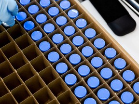 A lab technician loads bright stock filled vials of investigational coronavirus disease (COVID-19) treatment drug remdesivir at a Gilead Sciences facility in La Verne, California, U.S. March 18, 2020.